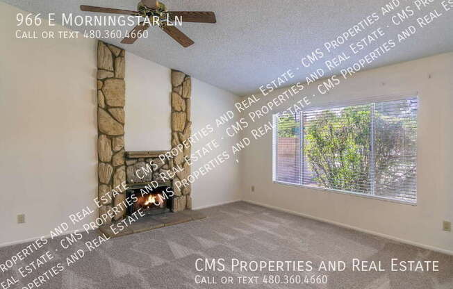 966 E Morningstar Ln