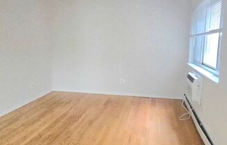 Studio, 1 bath, $1,150, Unit 311