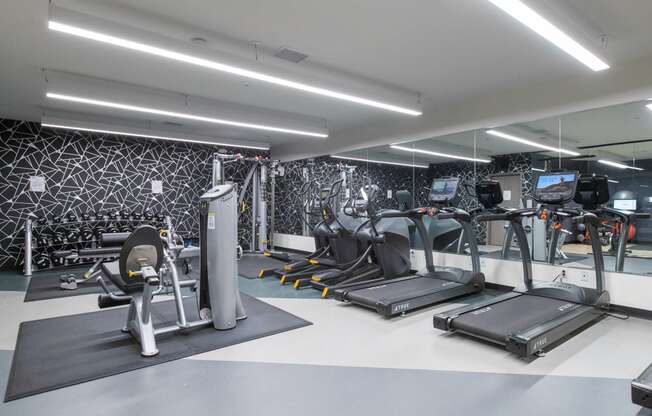 a gym with a lot of exercise equipment and a patterned wall