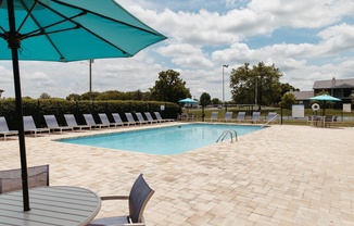 a swimming pool with chairs and umbrellas at the resort