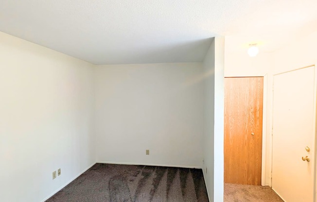 A room with a carpeted floor and a wooden door.