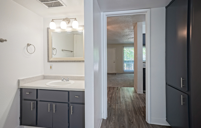 Dark grey bathroom vanity at Treehouse Apartments in Albuquerque, New Mexico