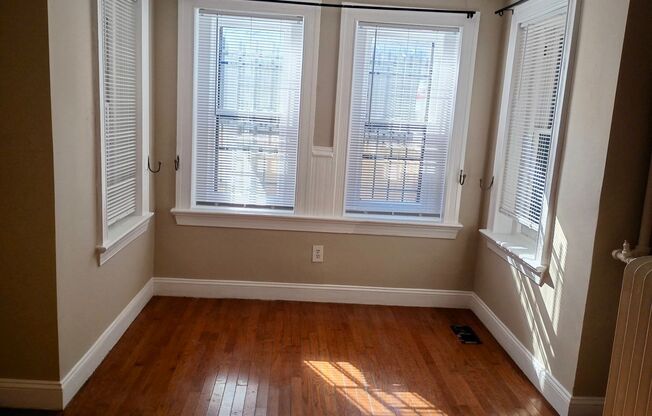 Modern Capitol Hill Location Basement Newly Renovated Unit with 1 Bedroom, 1 Bathroom,