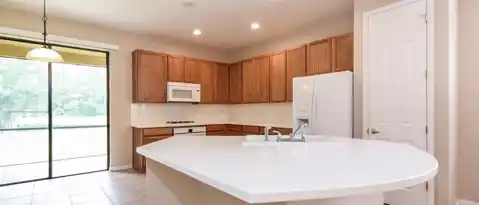 20355 CHESTNUT GRV DR