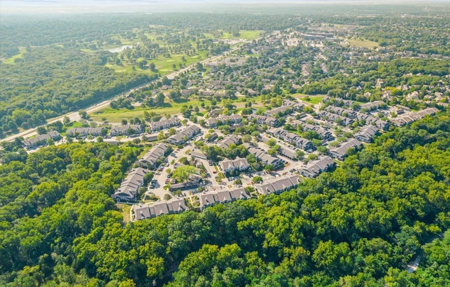 an aerial view of a neighborhood surrounded by trees