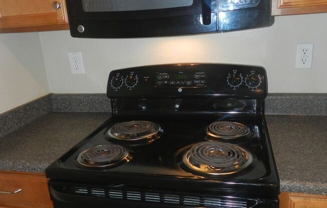 2 beds, 2 baths, 985 sqft, $1,305, Unit 1204