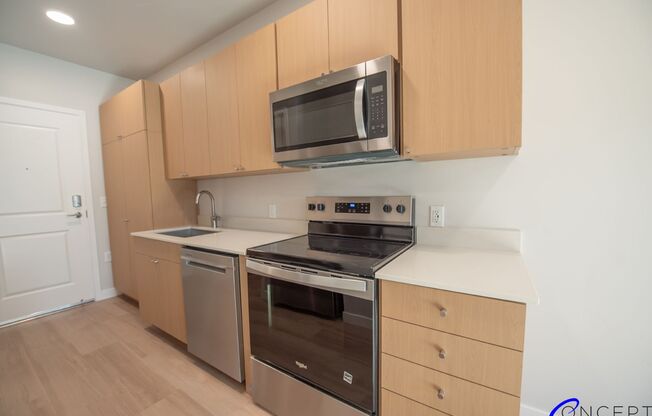 Studio, 1 bath, 300 sqft, $1,399, Unit 1-221