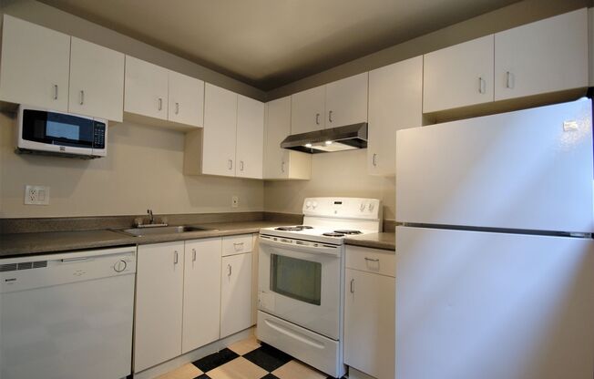 Studio, 1 bath, 423 sqft, $1,150, Unit 116