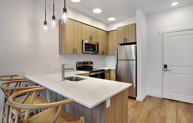 LUXURY APARTMENTS - LOTUS REPUBLIC