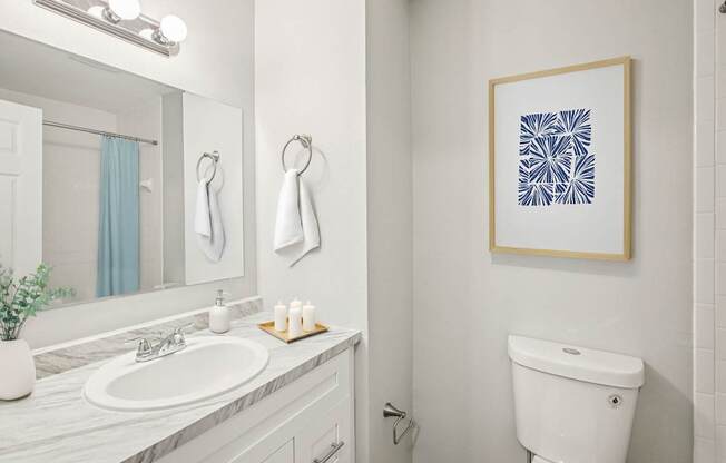 A bathroom with a white toilet and a framed picture on the wall.