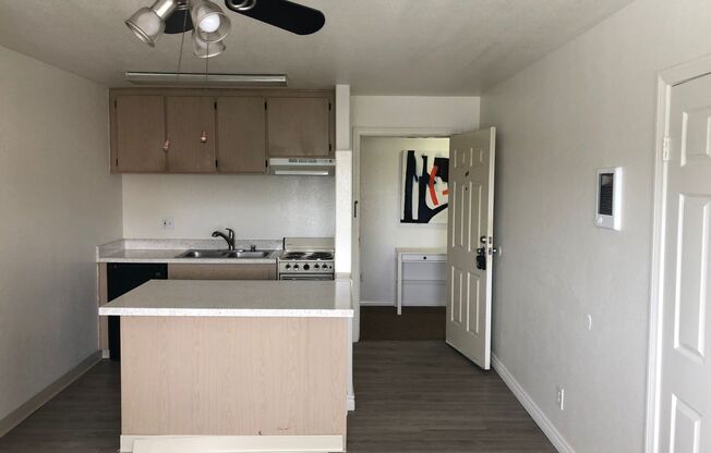 Studio, 1 bath, 350 sqft, $1,495, Unit 403