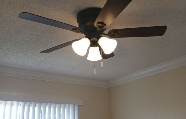 1 bed, 1 bath, $1,300, Unit 2501-15