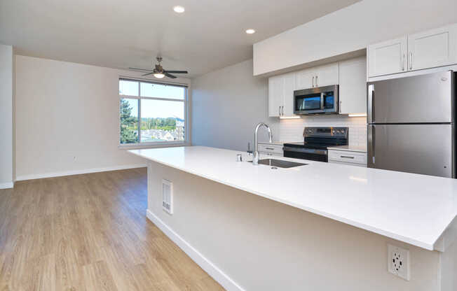 Kitchen with Stainless Steel Appliances