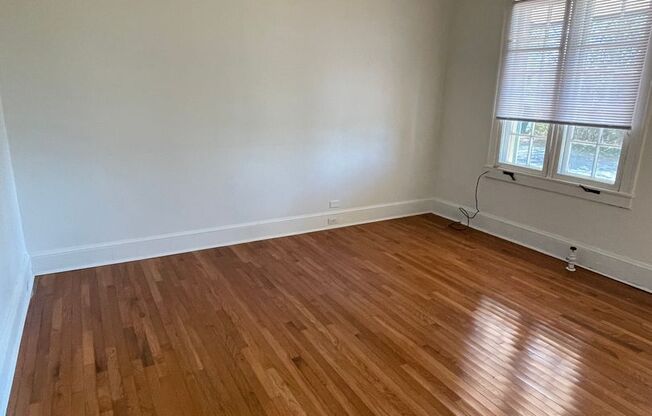 1 bed, 1 bath, $1,300, Unit 202