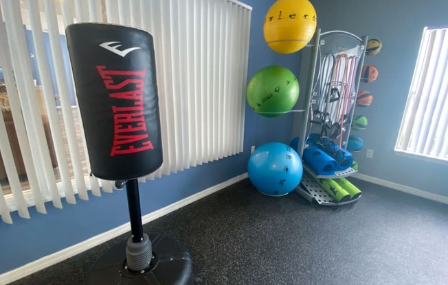 Fitness center equipped with punching bag