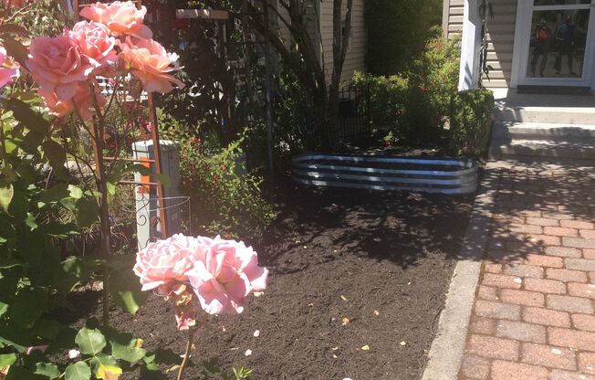Charming 3 Bedroom Home - Available Now! Seatac area