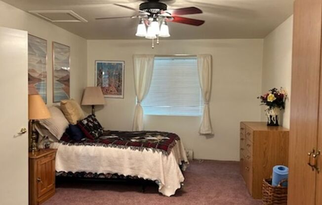 1 bed, 1 bath, $1,300