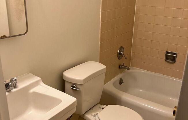 Studio, 1 bath, 182 sqft, $1,200, Unit 301