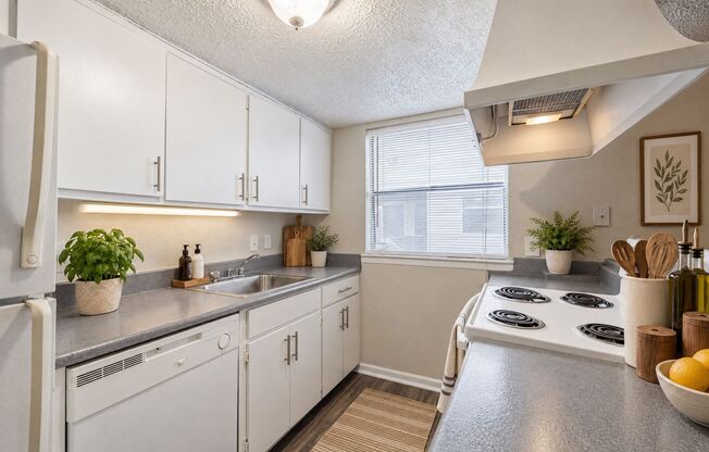 1 bed, 1 bath, 700 sqft, $875, Unit 1-10T