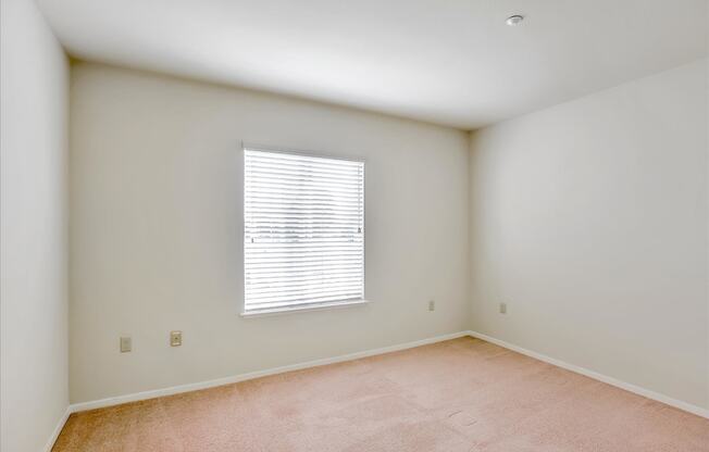 A room with a window and carpeted floor.