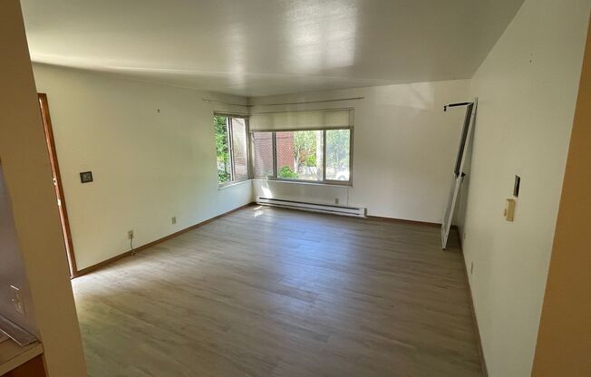 Carol Apartments