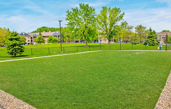 Green Grass in Dog Park