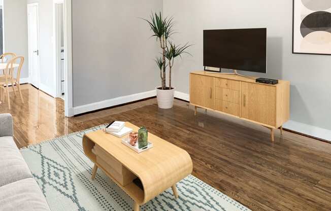 Living Room With TV at Chalfonte, Washington, 20009