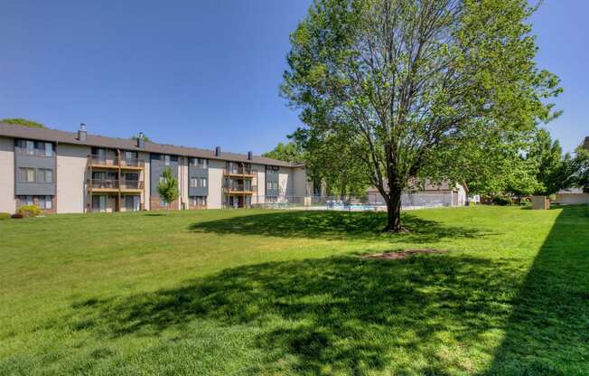 a large lawn with a tree in front of an apartment building