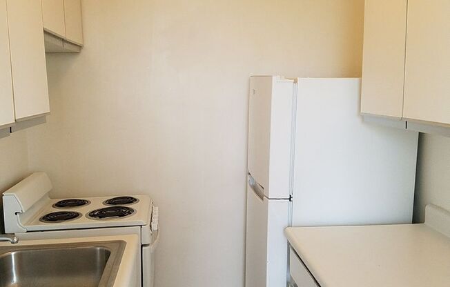 Studio, 1 bath, 413 sqft, $1,310