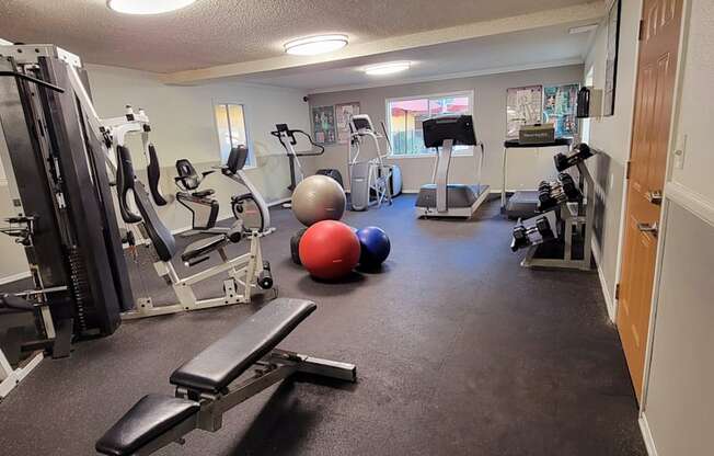 a gym with cardio equipment and exercise balls on the floor