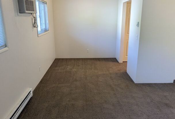 Studio, 1 bath, 350 sqft, $945, Unit 201