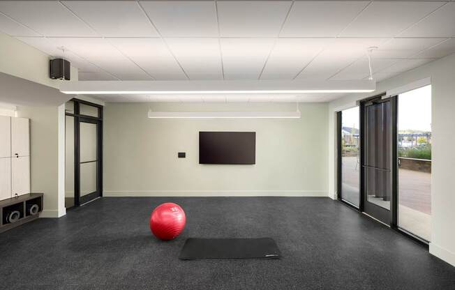 A red ball is placed on a black mat in a room with a flat screen TV mounted on the wall.