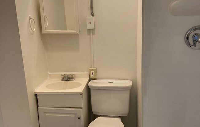 Studio, 1 bath, 450 sqft, $1,099, Unit 40-1R
