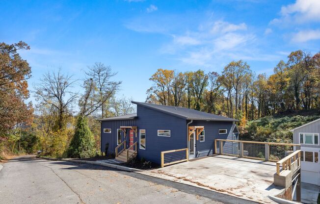 Gorgeous Modern Home between West AVL and Downtown AVL