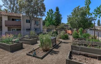 COMMUNITY GARDEN