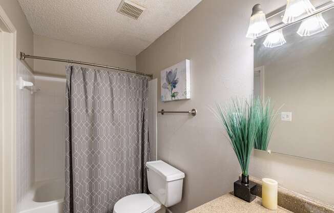 A bathroom with a toilet, a shower curtain, a mirror, and a vase with a plant.