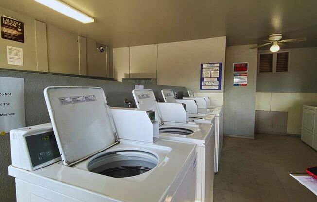 Studio, 1 bath, 400 sqft, $995, Unit 209
