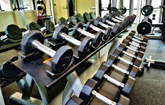 a row of weights in a gym