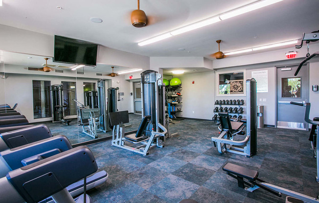 Gym with Free Weights at Apartments in Paradise Valley 85024
