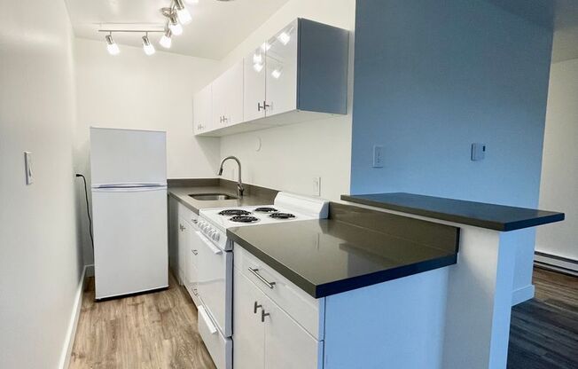 Studio, 1 bath, 370 sqft, $1,475, Unit 404