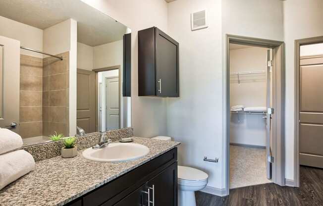 Sawgrass Creek Apartments in New Port Richey Florida photo of  bathroom