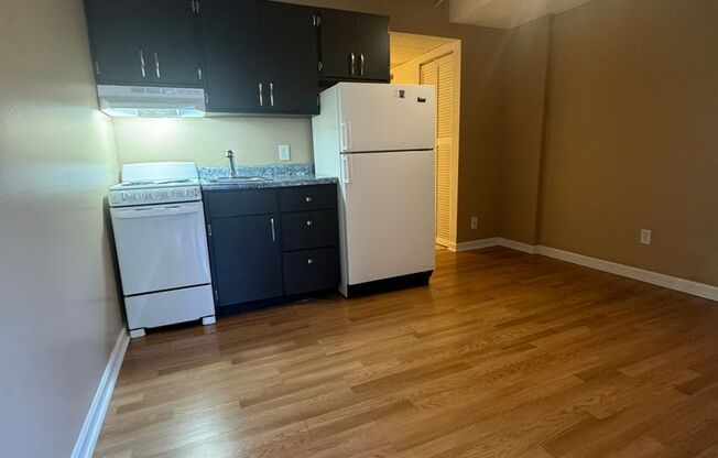 1 bed, 1 bath, $1,125