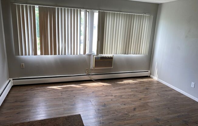 Studio, 1 bath, $1,000, Unit 2747113