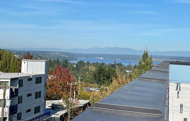 Studio, 1 bath, 325 sqft, $1,405, Unit 203