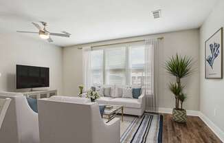 A living room with a television, couch, and a plant.