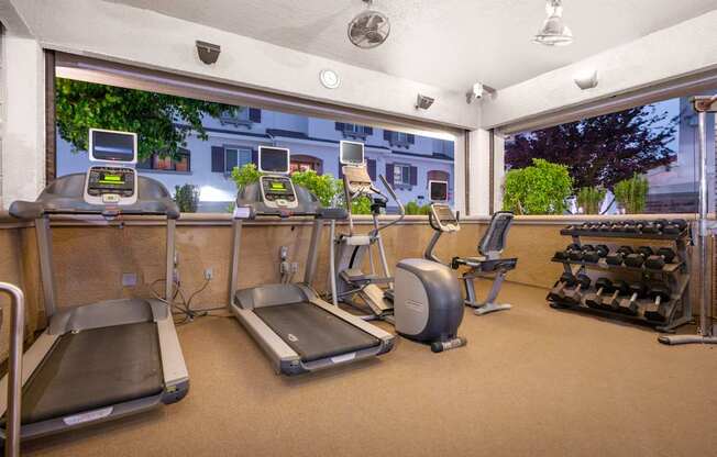 A gym with treadmills, exercise bikes, and weight machines.