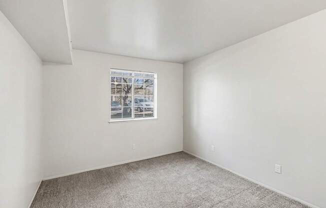 Large bedroom with a window and plush carpeting at Trappers Cove Apartments, Lansing, MI, 48910