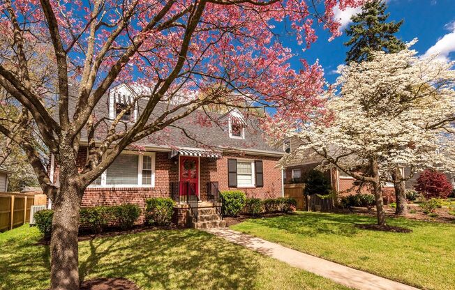 Gorgeous, Quaint 4 Bedroom Cape in Sauer's Gardens Available August 20th!