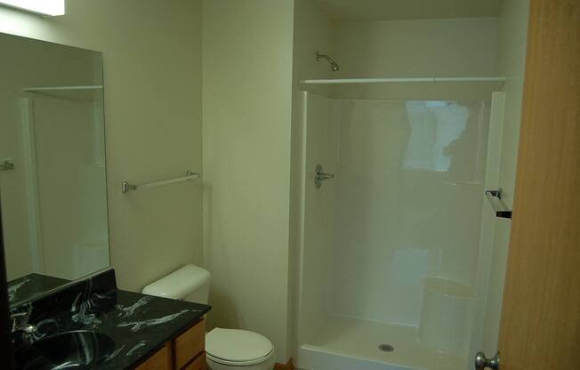 a bathroom with a shower toilet and sink