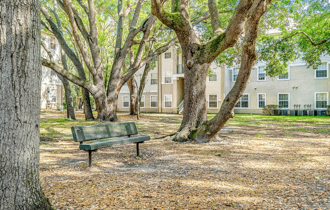 Bench underneath native tree canopy with surrounding building exterior